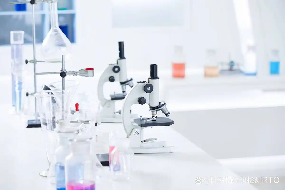 非金属成分分析报告办理流程与合规指南