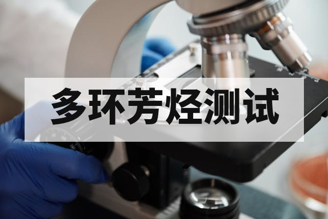 多环芳烃（PAHs）化学测试：方法、标准与应用领域深度解析